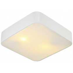 Настенно потолочный светильник Arte lamp Cosmopolitan A7210PL 2WH 
