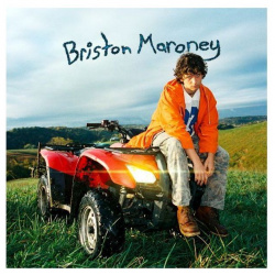 Виниловая пластинка Maroney  Briston Sunflower (0075678645815) Warner Music