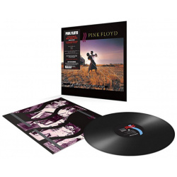 Виниловая пластинка Pink Floyd  A Collection Of Great Dance Songs (Remastered) (0190295996901) Parlophone