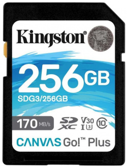 Карта памяти Kingston SDG3/256GB 