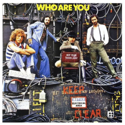 Виниловая пластинка The Who  Are You (0602537156306) Universal Music