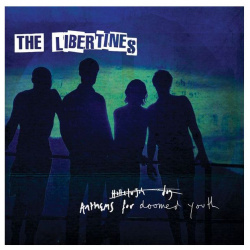 Виниловая пластинка The Libertines  Anthems For Doomed Youth (0602547462817) EMI