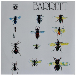 Виниловая пластинка Barrett  Syd (0825646310784) Parlophone