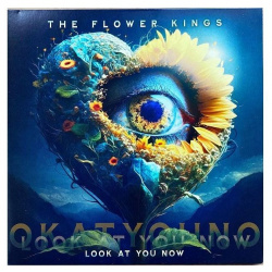 0196588229718  Виниловая пластинка Flower Kings The Look At You Now Sony Music