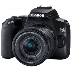 Зеркальный фотоаппарат Canon EOS 250D kit 18 55 IS STM Black 3454C002 