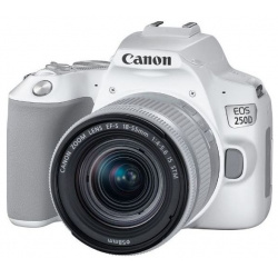 Зеркальный фотоаппарат Canon EOS 250D kit 18 55 IS STM White 3458C001 