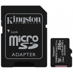 Карта памяти Kingston Canvas Select Plus microSDHC 256Gb (SDCS2/256GB) SDCS2/256GB 