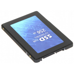Накопитель SSD Hikvision E100 256Gb (HS E100/256G) HS E100/256G 