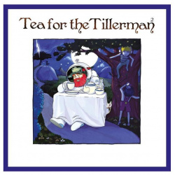 Виниловая пластинка Cat Stevens  Tea For The Tillerman 2 (0602508886959) Universal Music