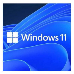 Операционная система Microsoft Windows 11 Pro 64 bit English (FQC 10529) FQC 10529 