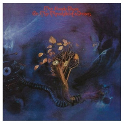 Виниловая пластинка The Moody Blues  On Threshold Of A Dream (0602567226352) Universal Music