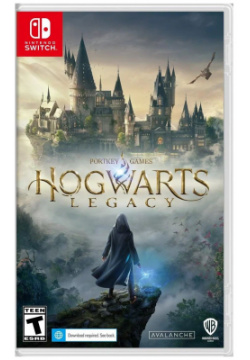 Игра Warner Bros  Games Hogwarts Legacy (Интерфейс и субтитры на русском языке) для Nintendo Switch Records (WB)