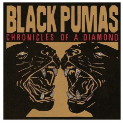 Виниловая пластинка Black Pumas  Chronicles Of A Diamond (coloured) (5400863146177) IAO