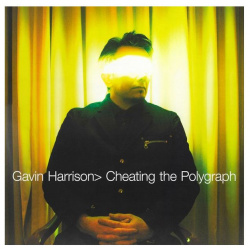 Виниловая пластинка Harrison  Gavin Cheating The Polygraph (0802644887616) Kscope