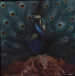 Виниловая пластинка Opeth  Sorceress (V10) (Box) (coloured) (0727361459918) IAO