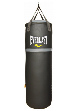Боксерский мешок Everlast 100 30 кг REV100 – это