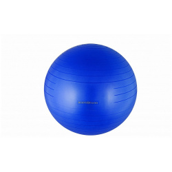 Мяч гимнастический Body Form BF GB01AB (22 quot;) 55 см антивзрыв синий 