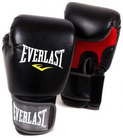 Перчатки Everlast Pro Style Muay Thai 12oz 7012 