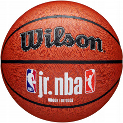 Мяч баскетбольный Wilson JR NBA Fam Logo Indoor Outdoor WZ2009801XB7 р 7 