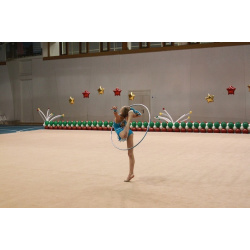 Ковер гимнастический соревновательный (толщ  10мм войлок+полиамид) 14х14м Atlet IMP A409