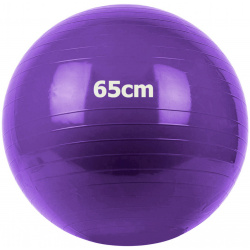 Мяч гимнастический Gum Ball d65 см Sportex GM 65 4 фиолетовый 