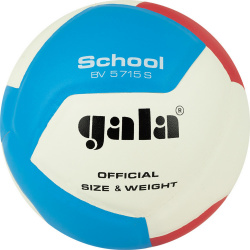 Мяч волейбольный Gala School 12 BV5715S р  5