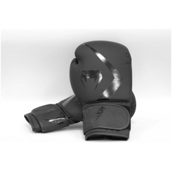 Перчатки тренировочные 12 oz Venum Rumble Advance 05089 114 черный 