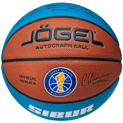 Мяч баскетбольный Jogel ECOBALL 2 0 Autograph р 3 J?gel 