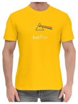 Хлопковые футболки Print Bar PFL 963686 hfu 2 Pink Floyd