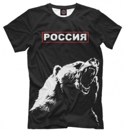 Футболки Print Bar SRF 295041 fut 2 Русский медведь и герб
