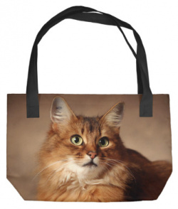 Пляжные сумки Print Bar CAT 469802 sup Рыжий кот