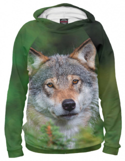 Худи Print Bar VLF 449110 hud Волк в зеленом лесу