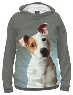Худи Print Bar DOG 143352 hud Jack Russell Terrier
