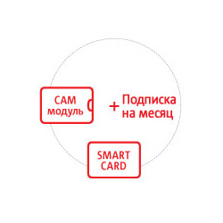 Комплект Спутникового ТВ МТС 1700 0414 №193 модуль CAM Irdeto  Smart карта услуга