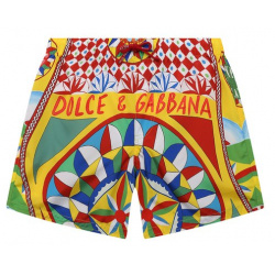 Плавки шорты Dolce & Gabbana L4J842/G7J3L/8 14