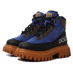 Кожаные ботинки Dolce & Gabbana DA5177/A3C01/29 36 Для изготовления синих