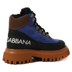 Кожаные ботинки Dolce & Gabbana DA5177/A3C01/29 36
