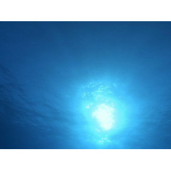 BBC: Тайны Тихого океана  Часть 1 (Blu ray) СОЮЗ Видео