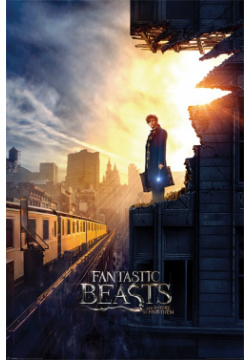 Плакат Fantastic Beasts And Where To Find Them: Dusk (№151) Pyramid International 