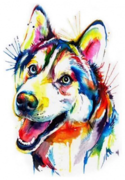 Алмазная мозаика Игривый щенок Цветной мир ярких идей 