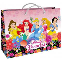 Пакет Принцессы Disney подарочный большой 5 ND PLAY 