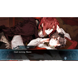 Psychedelica of the Ashen Hawk [PC  Цифровая версия] (Цифровая версия) Intragames