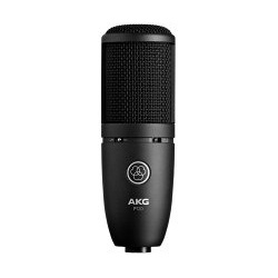 AKG P120 WIRED Микрофон конденсаторный кардиоидный  мембрана 2/3` 20 20000Гц