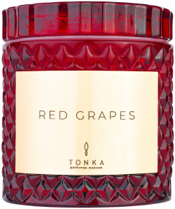 Ароматическая свеча TONKA PERFUMES 153757 Красный