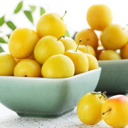Алыча Злато Скифов — скороспелый желтоплодный сорт с сочными