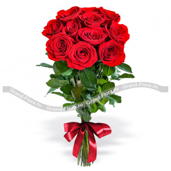 Розы поштучно Гранд Флора pr 4 11 красных роз (70см)