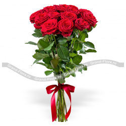Розы поштучно Гранд Флора pr 9 15 красных роз (70см)