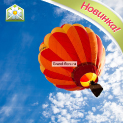 Подарочные сертификаты Гранд Флора sert007 Полет на воздушном шаре (аэростате) П