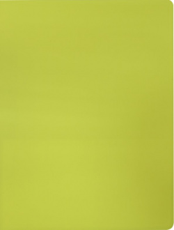 Папка с металлическим пружинным скоросшивателем и внутренним карманом "Бюрократ  Double Neon" цвет: желтый A4 арт DNE07PYEL Бюрократ