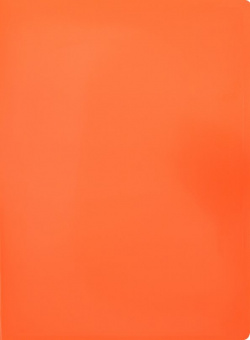 Папка с металлическим пружинным скоросшивателем и внутренним карманом "Бюрократ  Double Neon" цвет: оранжевый A4 арт DNE07POR Бюрократ